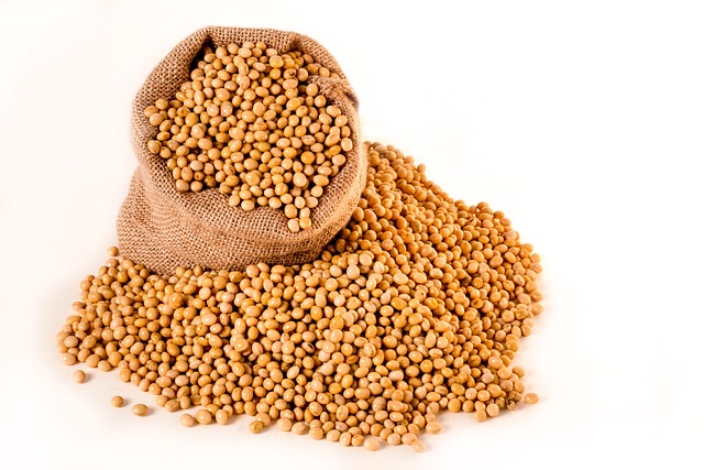 soybeans, plants, seeds, bag, burlap, nature, grain, oil, beans
